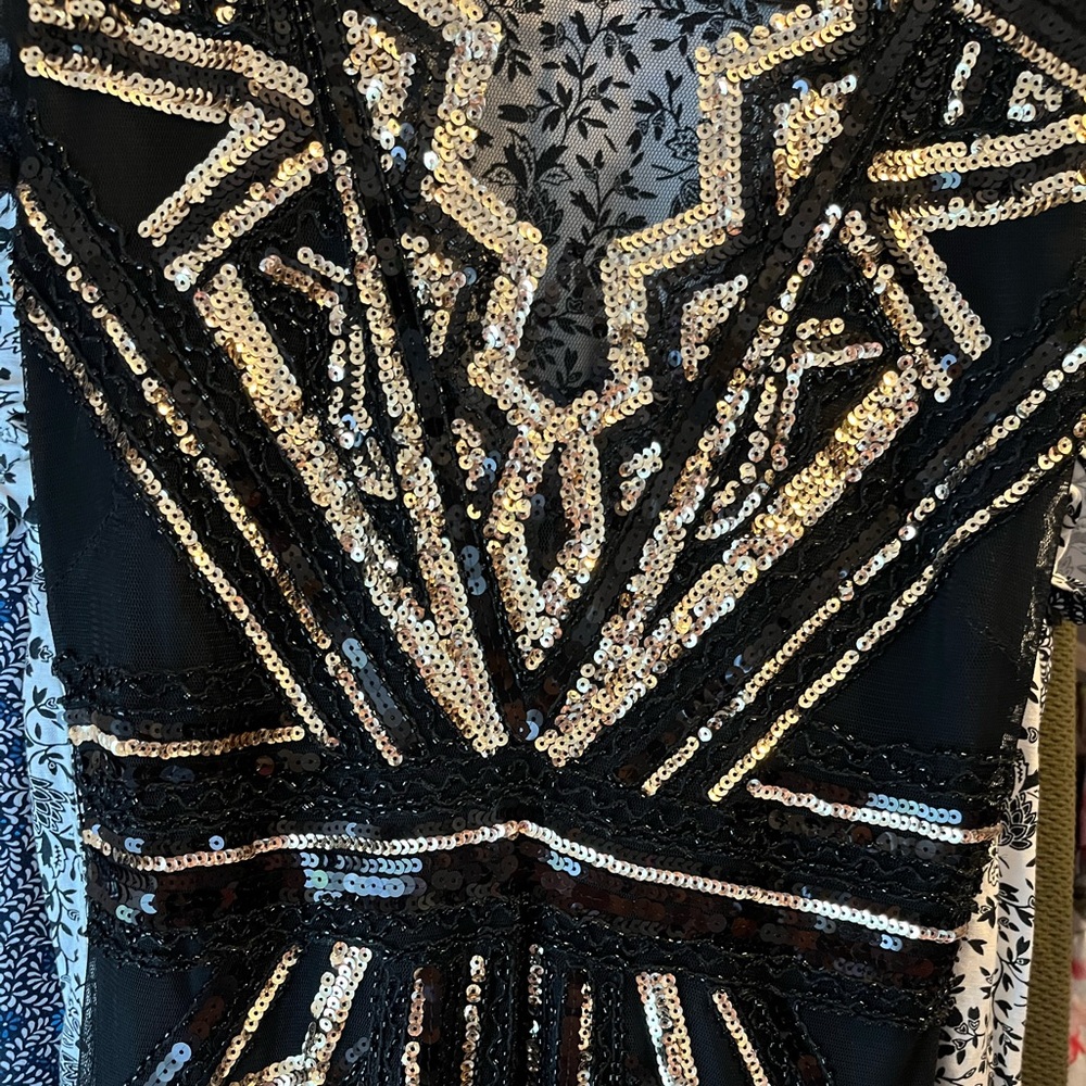 Women’s 1920s Gatsby Flapper Sequin Dress - Picture 3 of 8